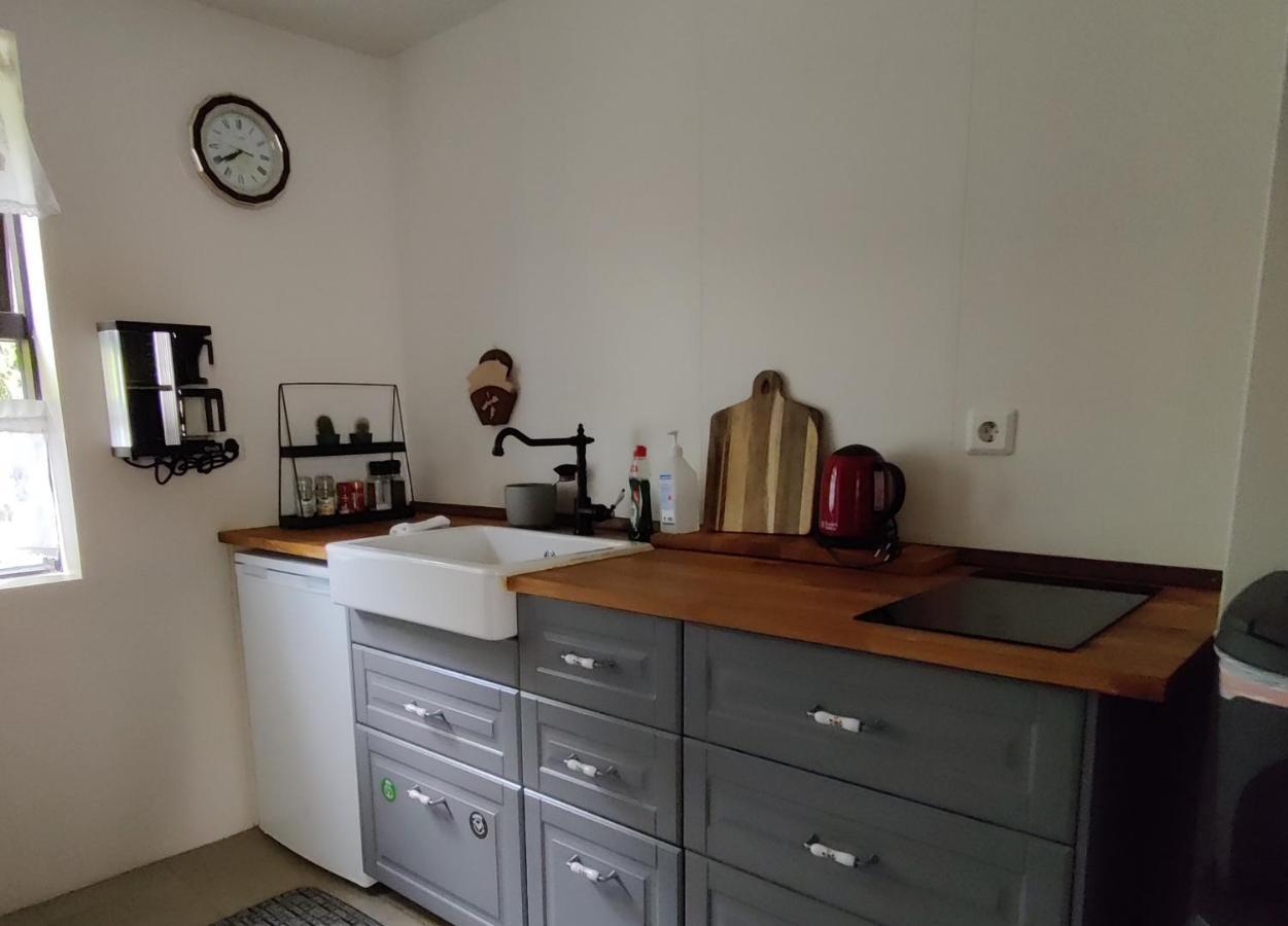 Prestshus 2 Guesthouse Vik i Myrdal Ngoại thất bức ảnh