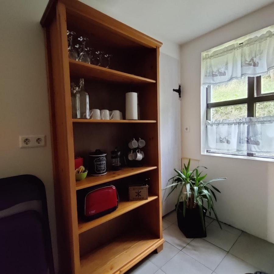 Prestshus 2 Guesthouse Vik i Myrdal Ngoại thất bức ảnh