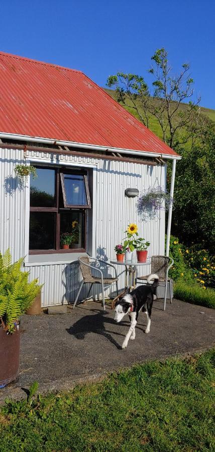 Prestshus 2 Guesthouse Vik i Myrdal Ngoại thất bức ảnh